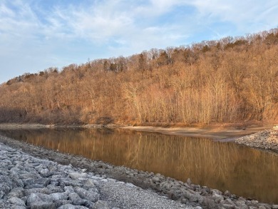 (private lake, pond, creek) Lot For Sale in Center Missouri