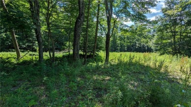 Lake Acreage For Sale in Laurens, New York