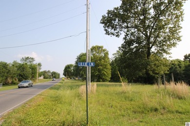 Lillie Ln lot: 29 - photo 1