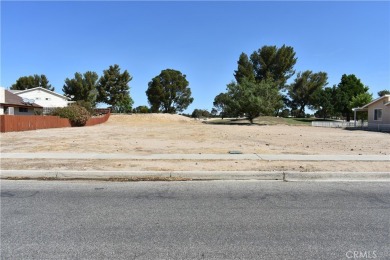 Silver Lakes Lot For Sale in Helendale California