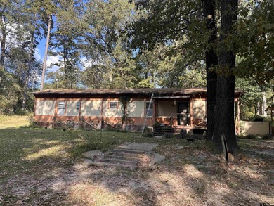 Lake Hawkins Home For Sale in Hawkins Texas