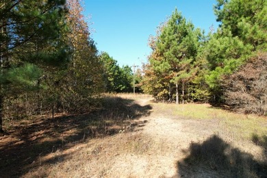 (private lake, pond, creek) Acreage For Sale in Gilmer Texas