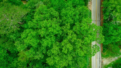 Chickamauga Lake Lot For Sale in Harrison Tennessee