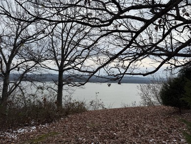 Lake Acreage For Sale in Golconda, Illinois