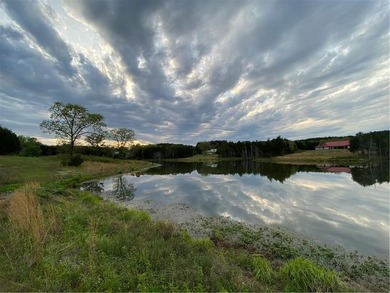 Lost Trails Ranch - 220 Acres of Ozark Adventure & Opportunity - photo 11