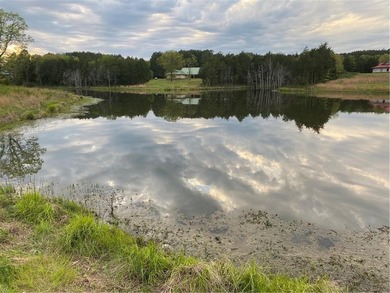 Lost Trails Ranch - 220 Acres of Ozark Adventure & Opportunity - photo 12