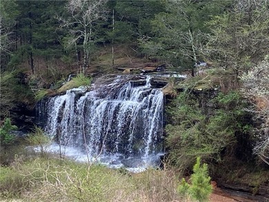 Lost Trails Ranch - 220 Acres of Ozark Adventure & Opportunity - photo 15