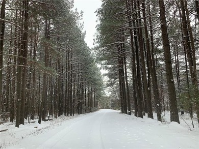 Lost Trails Ranch - 220 Acres of Ozark Adventure & Opportunity - photo 17