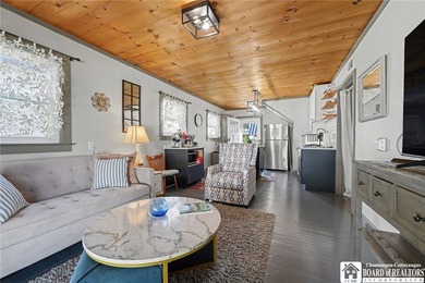 Exceptional investment opportunity in the heart of Bemus Point! - photo 32