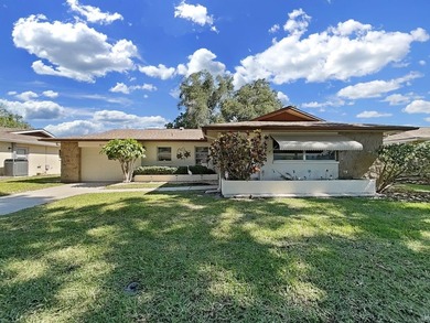 Looking for an exceptional active adult golf community in Tampa - photo 2