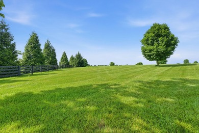 Build the home you've always envisioned on this beautiful 1 - photo 7