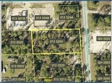 Lehigh Acres Area Lot For Sale in Alva Florida