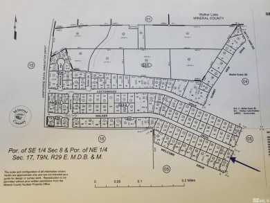 Lake Lot For Sale in Walker Lake, Nevada