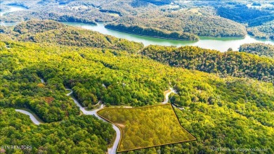 Norris Lake Acreage For Sale in New Tazewell Tennessee