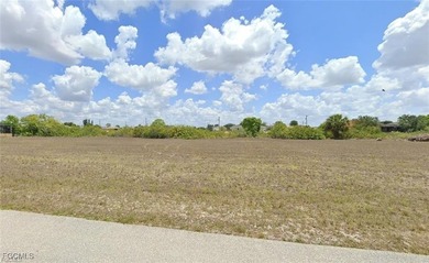 Fresh Water canal vacant lot 120 linear canal frontage with - photo 3