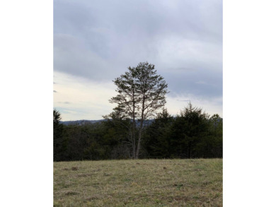 Great Lot for Golf & Lake! - Lake Lot For Sale in Tazewell, Tennessee