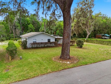WATERFRONT OPPORTUNITY ON CANAL TO LAKE PANASOFFKEE - FULLY - photo 35