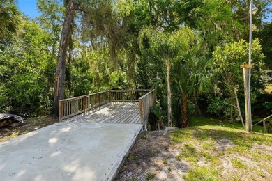 WATERFRONT OPPORTUNITY ON CANAL TO LAKE PANASOFFKEE - FULLY - photo 36