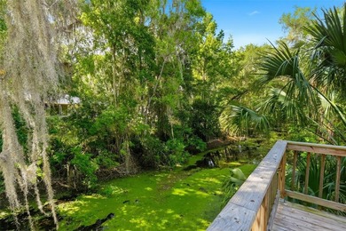 WATERFRONT OPPORTUNITY ON CANAL TO LAKE PANASOFFKEE - FULLY - photo 37