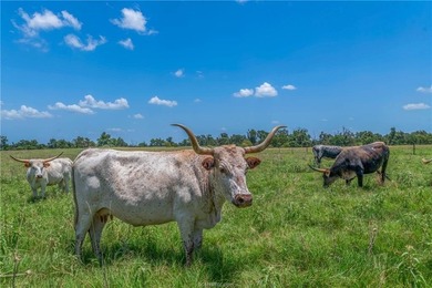 PASTURES, PONDS & PRIVACY: Located between Dallas, Houston &