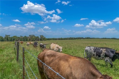 PASTURES, PONDS & PRIVACY: Located between Dallas, Houston &