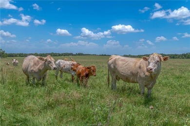 PASTURES, PONDS & PRIVACY: Located between Dallas, Houston &
