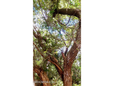 Lake Lot For Sale in Keystone Heights, Florida