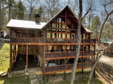 Lake Home For Sale in Morganton, Georgia