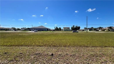 Discover the perfect intersection canal-front lot with expansive - photo 8