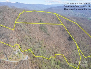 Prominent south facing ridge overlooking Waynesville with - photo 4