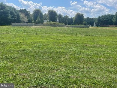 One of the few remaining pristine lots left in Riverside Farms! - photo 6
