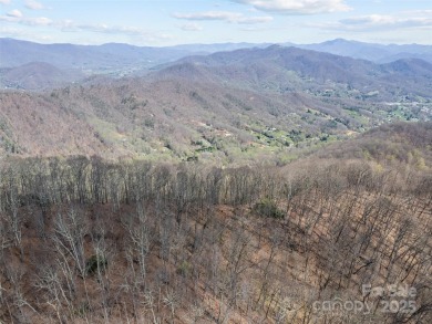 Prominent south facing ridge overlooking Waynesville with - photo 10