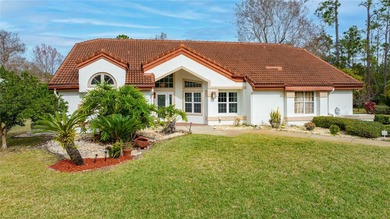 (private lake, pond, coastal) Home For Sale in Ormond Beach Florida