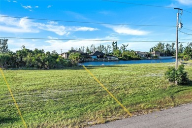 SOUTHERN EXPOSURE! 200' WIDE *KING* CANAL! UNRESTRICTED BOATING - photo 10