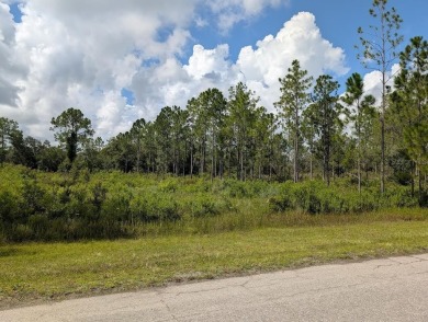 Lake Lot For Sale in Indian Lake Estates, Florida