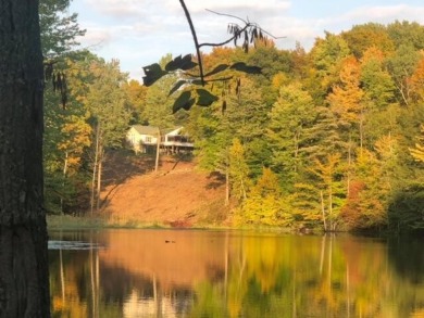 (private lake, pond, creek) Acreage For Sale in Farwell Michigan