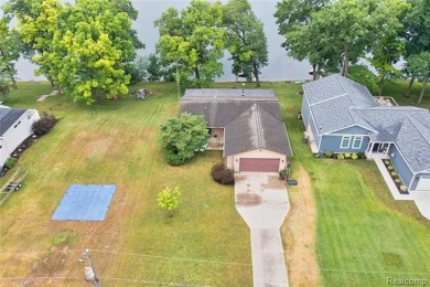 Lake Home For Sale in Cement City, Michigan