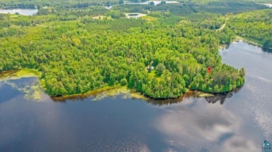 Lake Home For Sale in Alborn, Minnesota