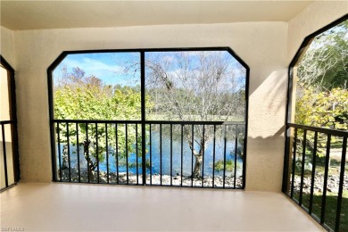 (private lake, pond, creek) Home For Sale in Naples Florida