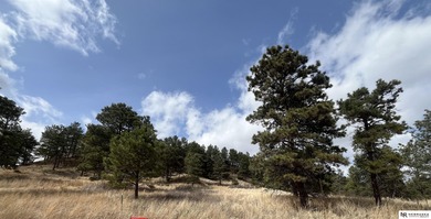 (private lake, pond, creek) Lot For Sale in Valentine Nebraska