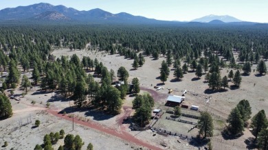 The Buggy Wheel Ranch is 22 miles west of Flagstaff and eight - photo 2