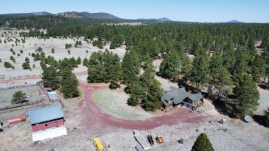 The Buggy Wheel Ranch is 22 miles west of Flagstaff and eight - photo 3