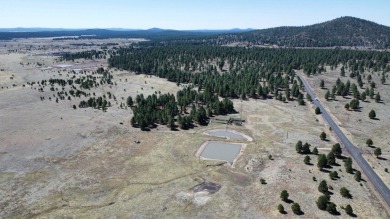 The Buggy Wheel Ranch is 22 miles west of Flagstaff and eight - photo 4
