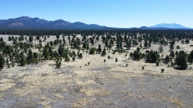 The Buggy Wheel Ranch is 22 miles west of Flagstaff and eight - photo 5