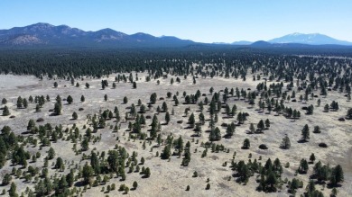 The Buggy Wheel Ranch is 22 miles west of Flagstaff and eight - photo 6