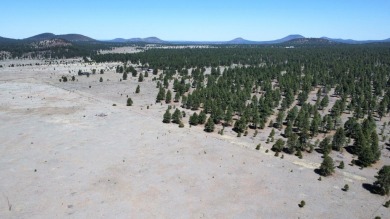 The Buggy Wheel Ranch is 22 miles west of Flagstaff and eight - photo 7