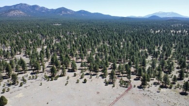 The Buggy Wheel Ranch is 22 miles west of Flagstaff and eight - photo 8