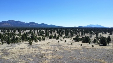 The Buggy Wheel Ranch is 22 miles west of Flagstaff and eight - photo 9