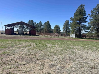 The Buggy Wheel Ranch is 22 miles west of Flagstaff and eight - photo 10