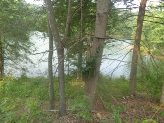 Lake Front Building lot 2 located on Sleepy Hollow Rd East SOLD - Lake Lot SOLD! in East Bernstadt, Kentucky